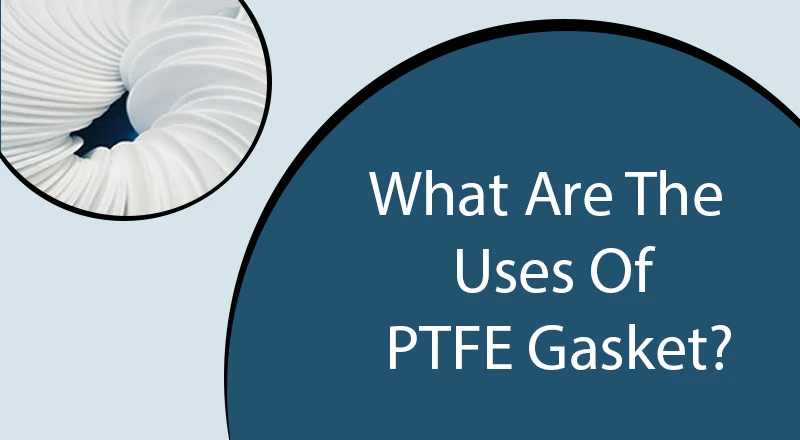 PTFE Gasket