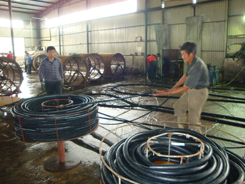 Hose & Fittings